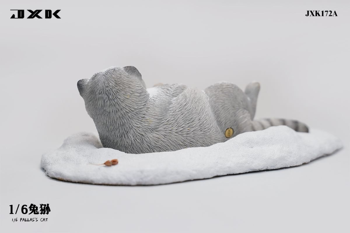 Pallas's Cat 1/6