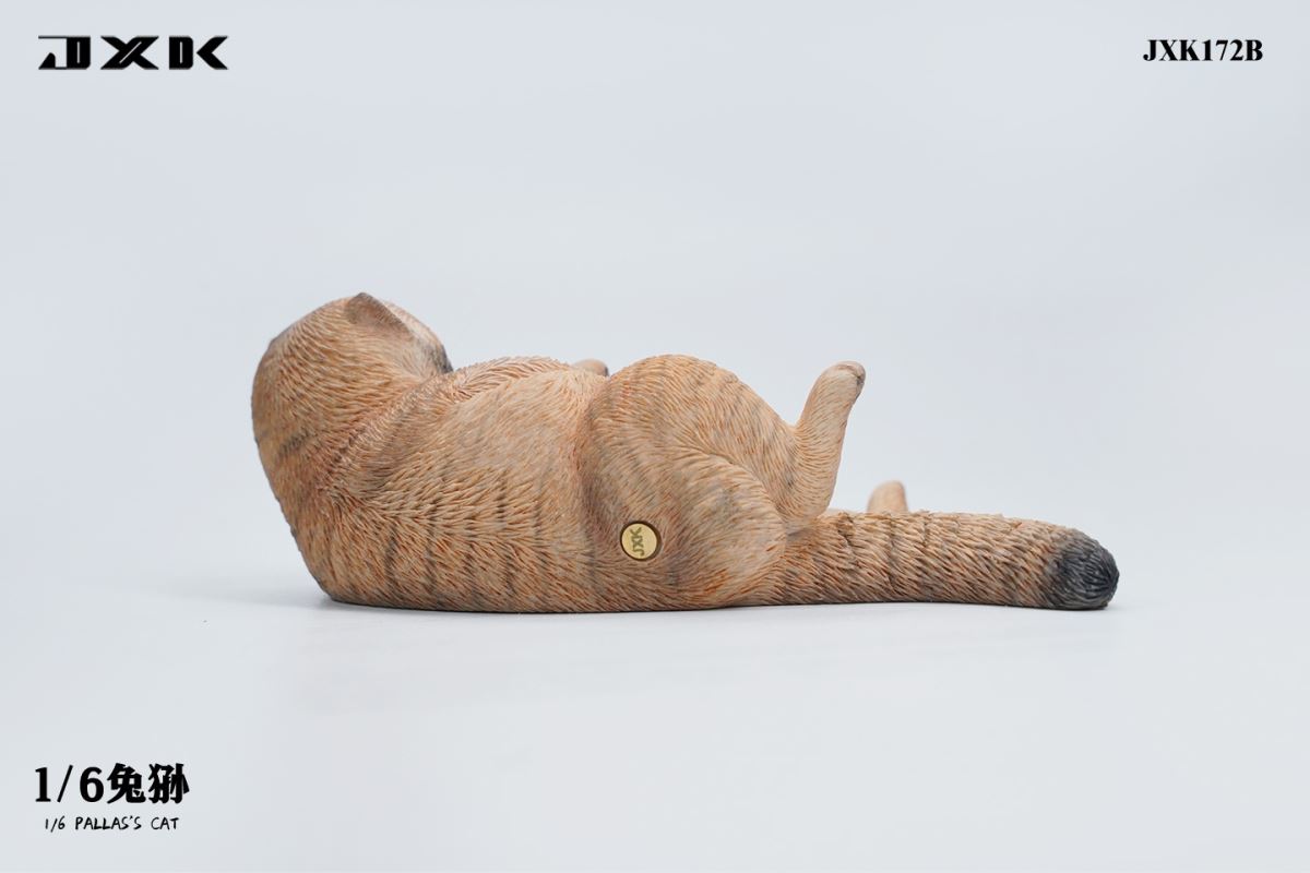 Pallas's Cat 1/6