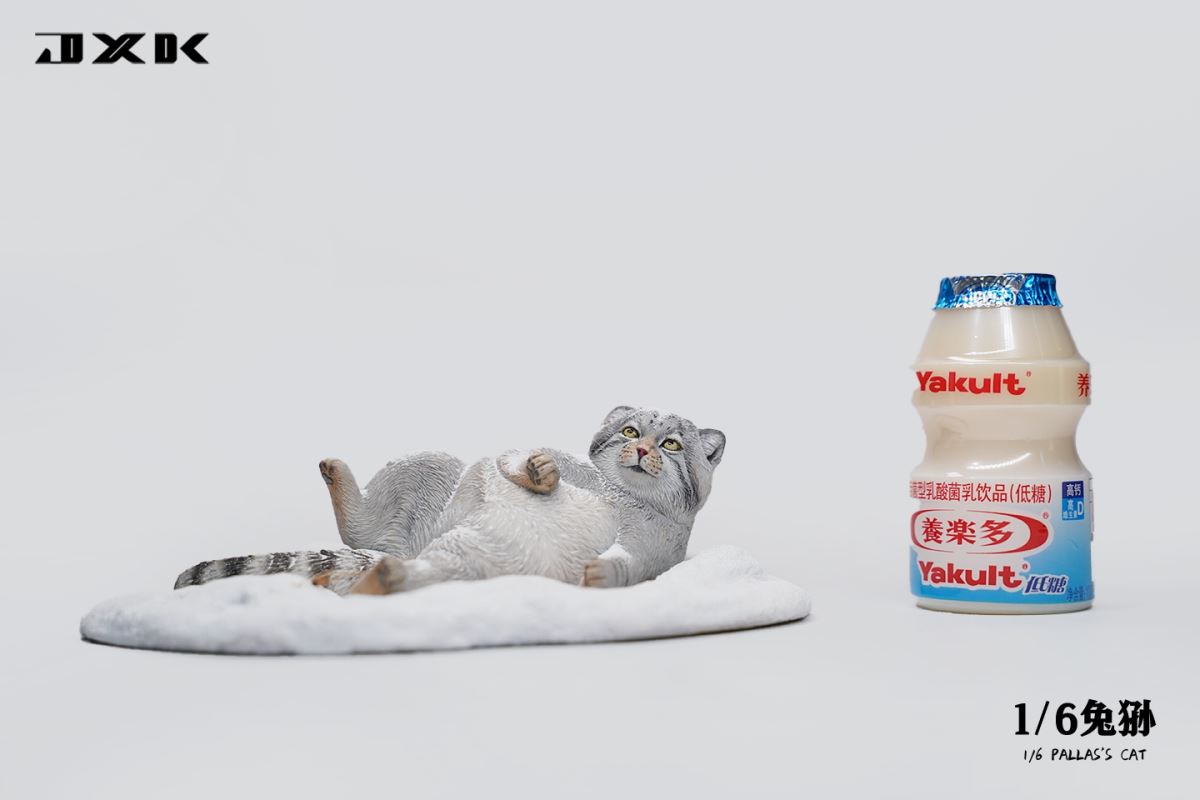 Pallas's Cat 1/6