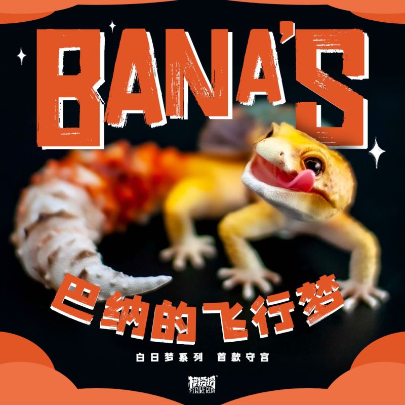 BANA's Flying Dream 1/1