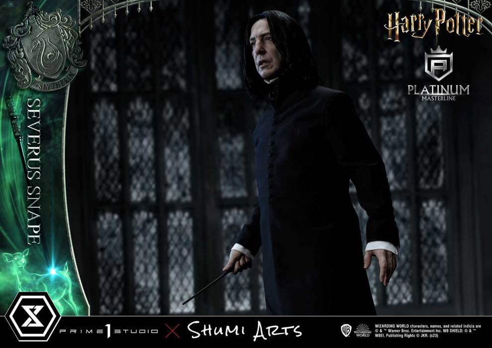 Harry Potter Severus Snape