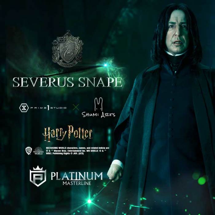 Harry Potter Severus Snape