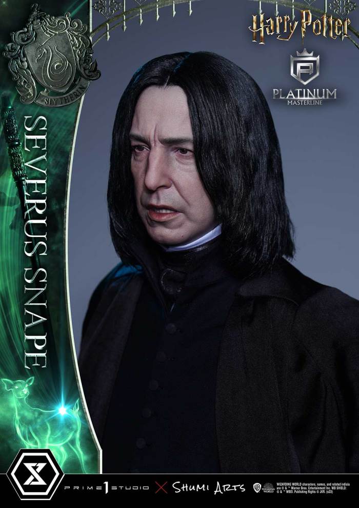 Harry Potter Severus Snape