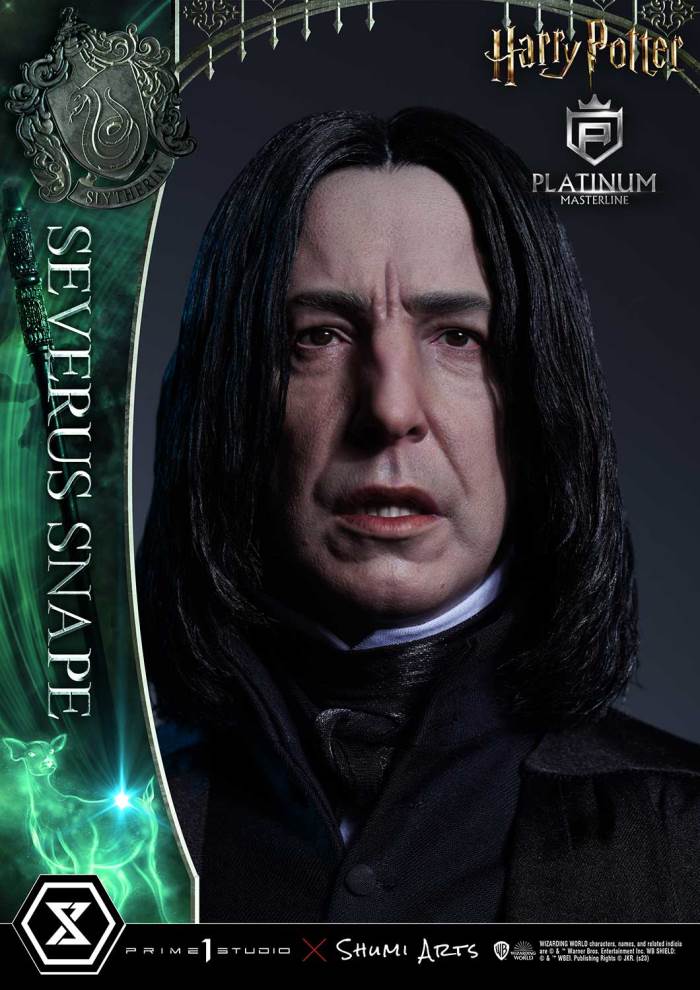 Harry Potter Severus Snape