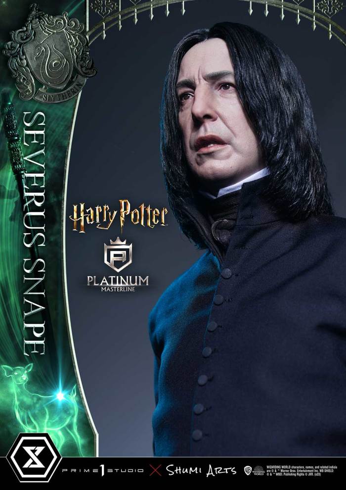 Harry Potter Severus Snape