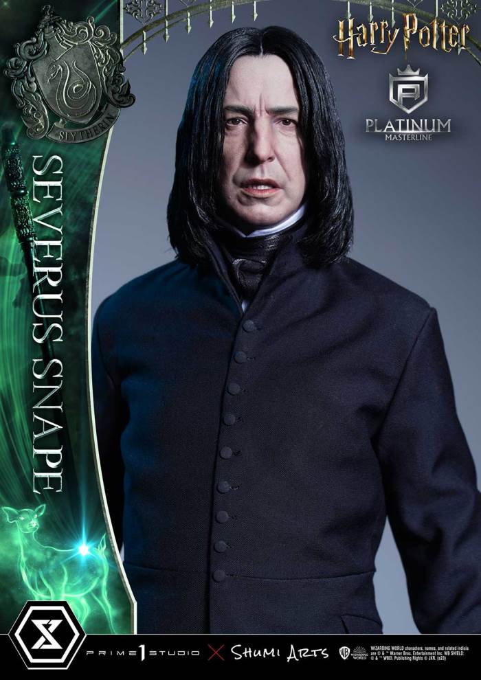 Harry Potter Severus Snape