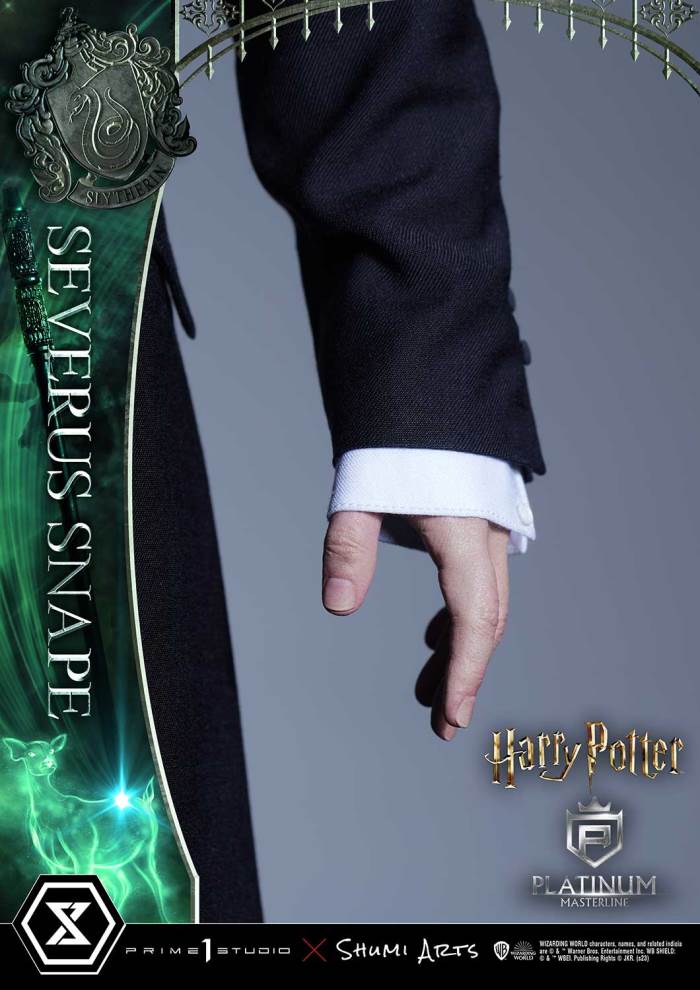 Harry Potter Severus Snape