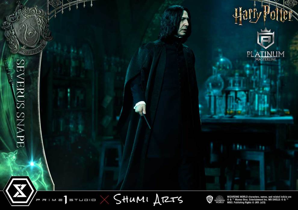 Harry Potter Severus Snape