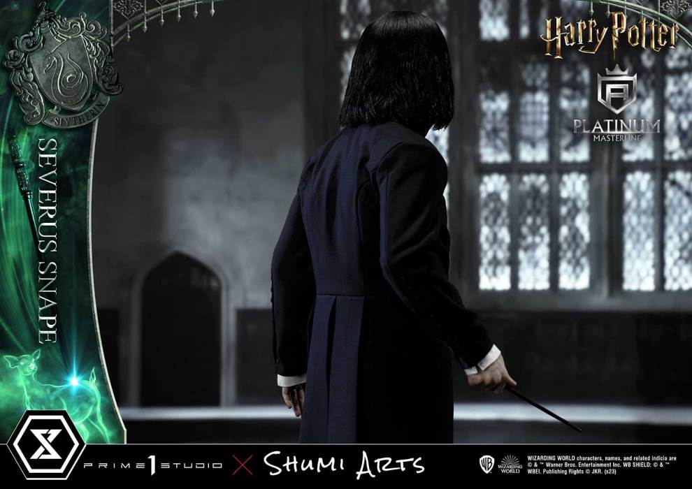 Harry Potter Severus Snape