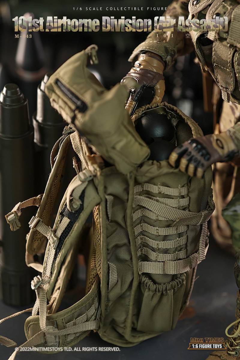 US Army 101st Air Assault Division 1/6