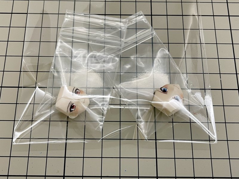 Evangelion Asuka/Rei Movable Doll