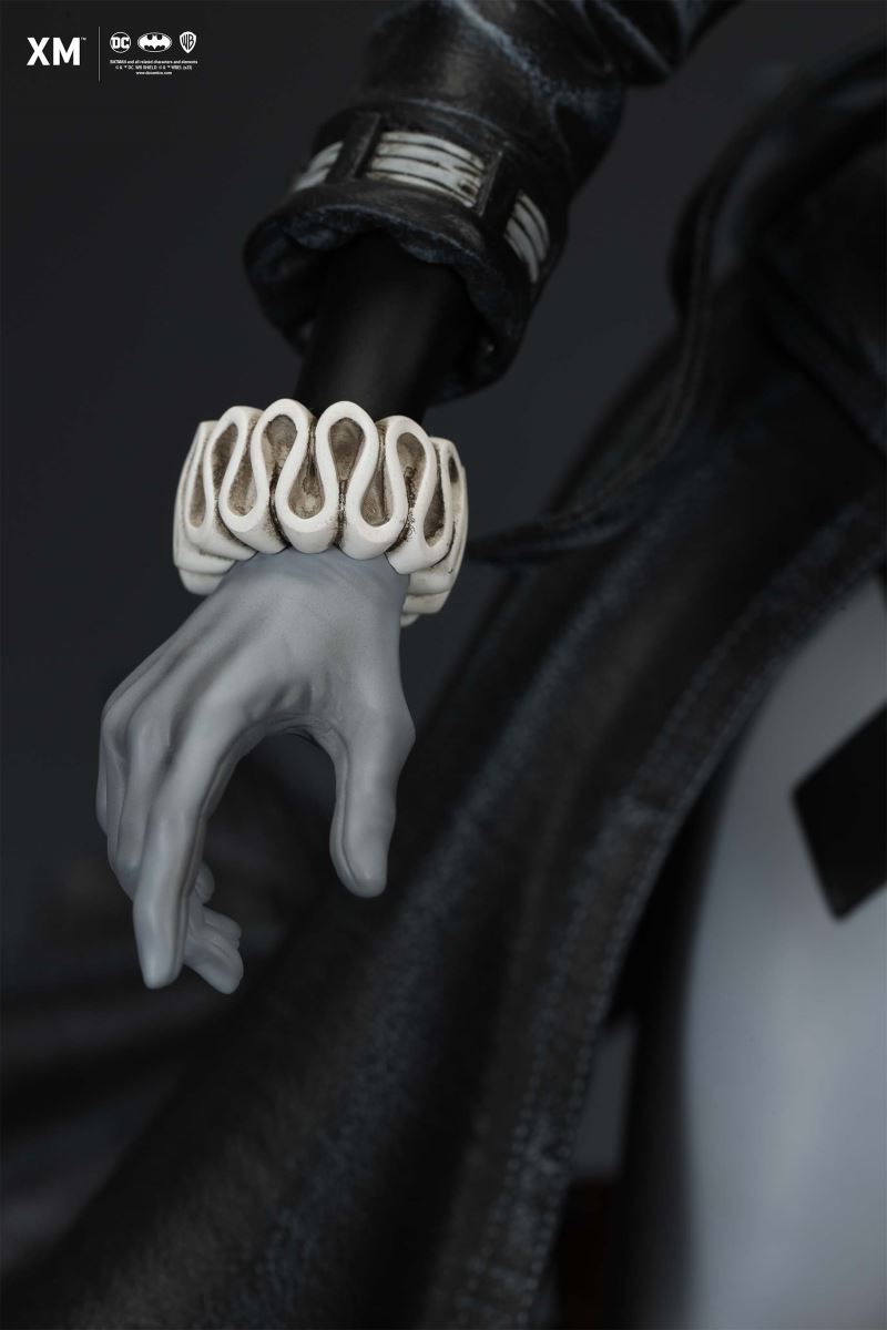 Harley Quinn (Batman: White Knight) - Stealth Version 1/4