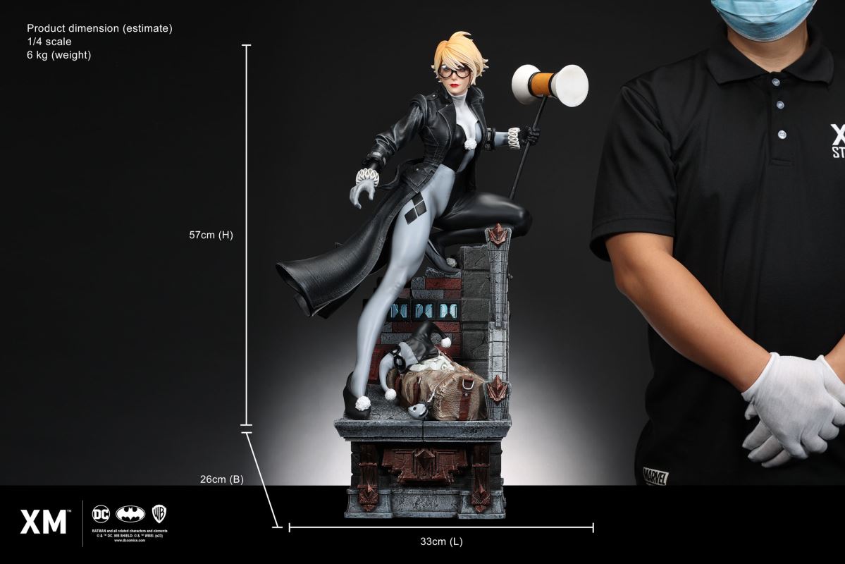 Harley Quinn (Batman: White Knight) - Stealth Version 1/4