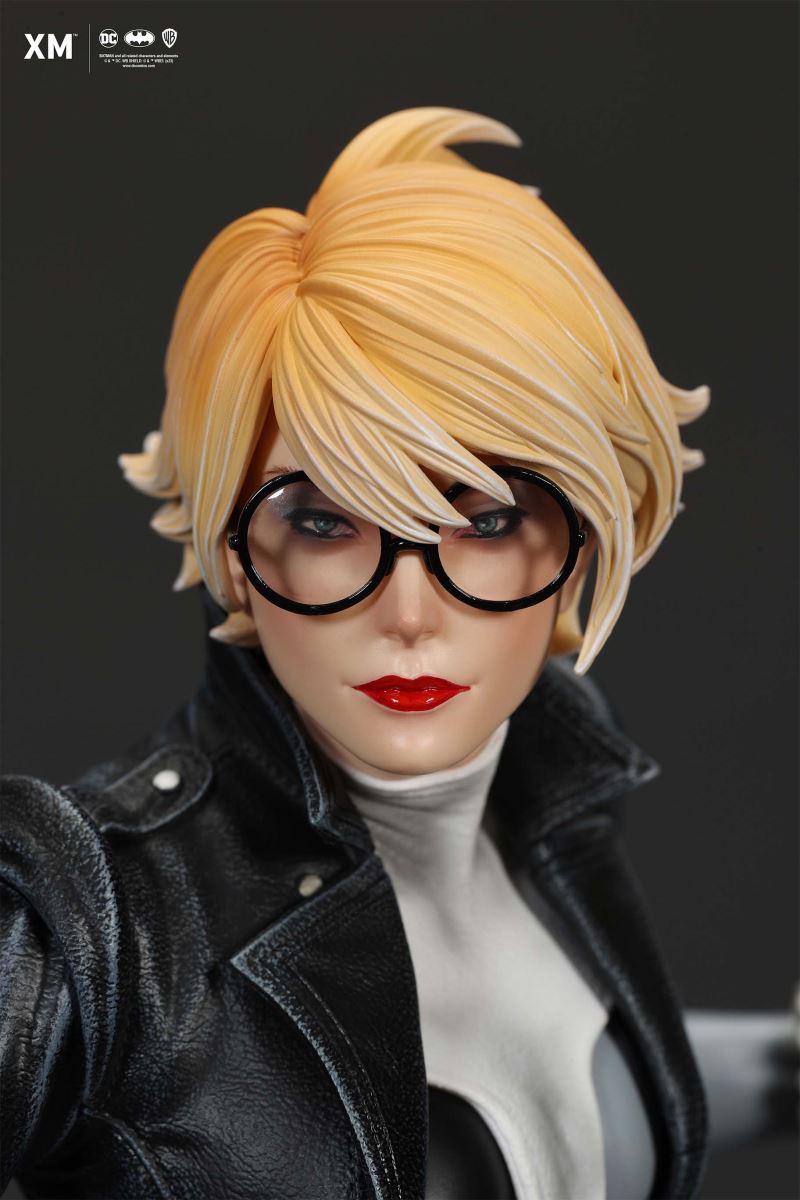 Harley Quinn (Batman: White Knight) - Stealth Version 1/4
