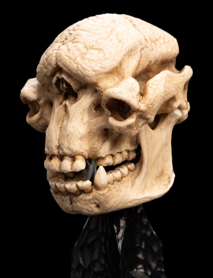 SKULL OF A CAVE TROLL Miniature Skull