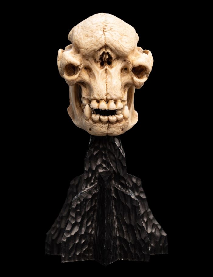 SKULL OF A CAVE TROLL Miniature Skull