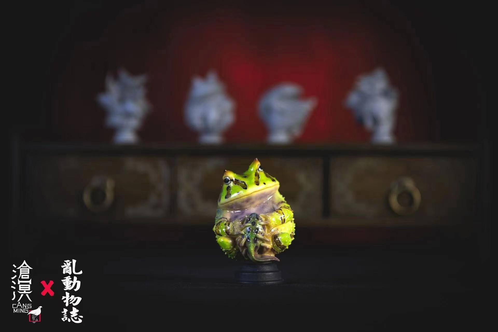 Horned Frogs & Tadpoles