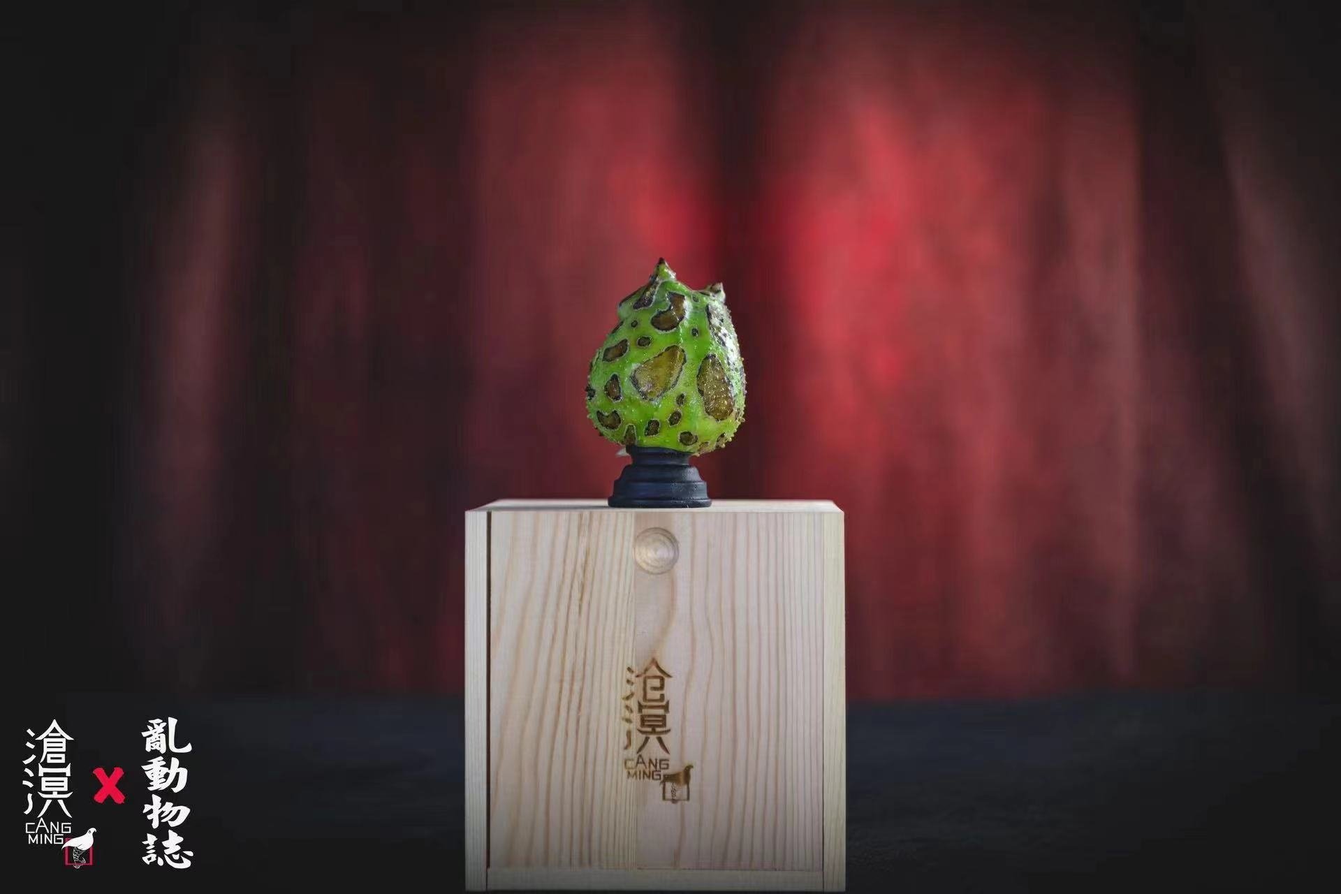 Horned Frogs & Tadpoles