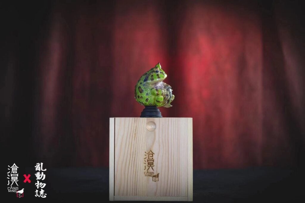 Horned Frogs & Tadpoles