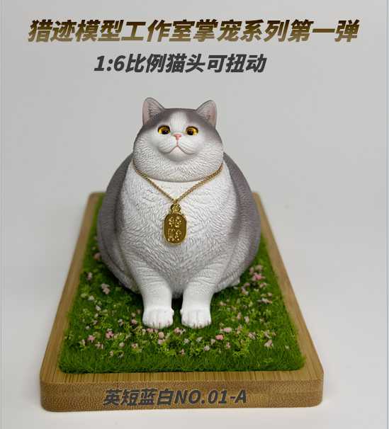 British Shorthair Blue and White Cat 1/6