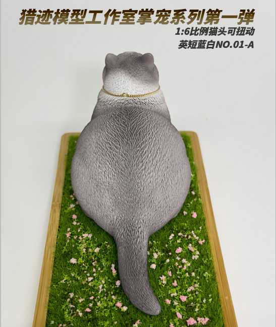 British Shorthair Blue and White Cat 1/6