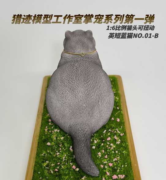 British Shorthair Blue and White Cat 1/6