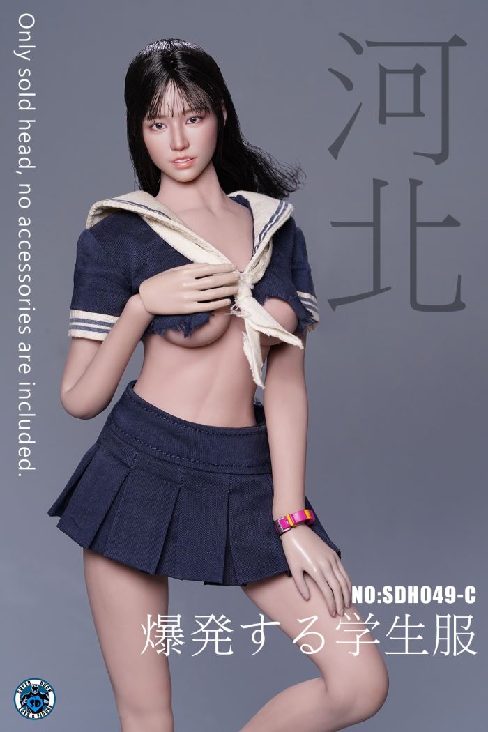 Actress Head Sculpture [SDH049] 1/6