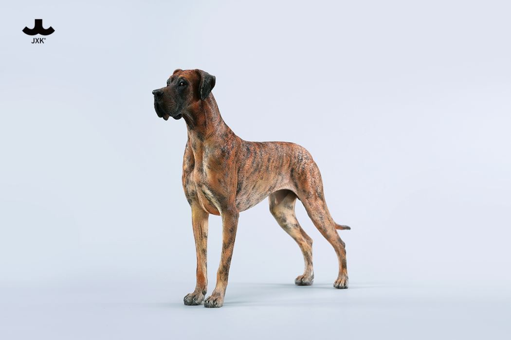 Great Dane 1/6