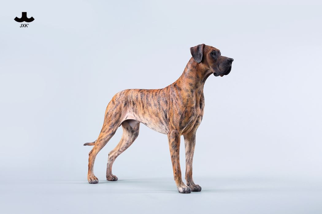Great Dane 1/6