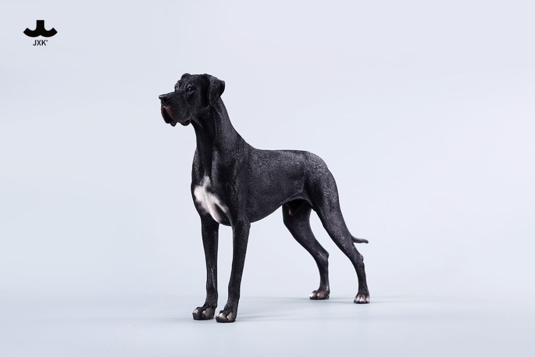 Great Dane 1/6