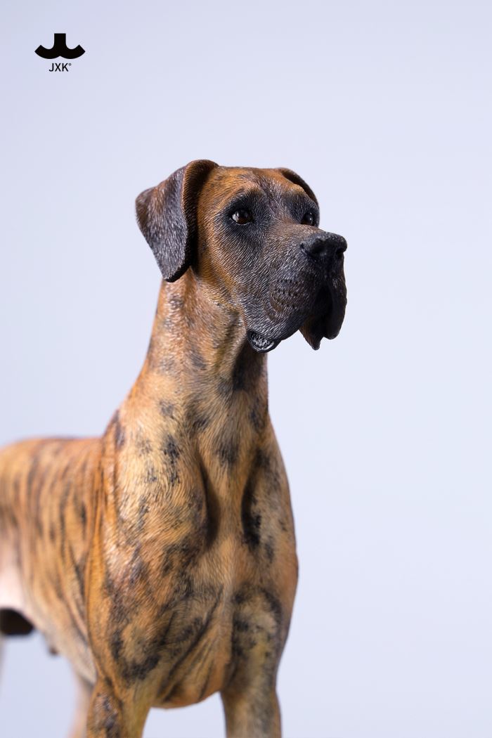Great Dane 1/6