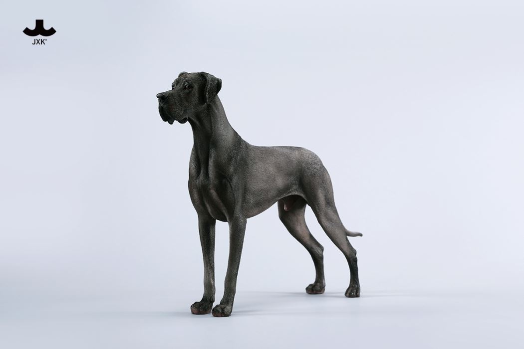 Great Dane 1/6