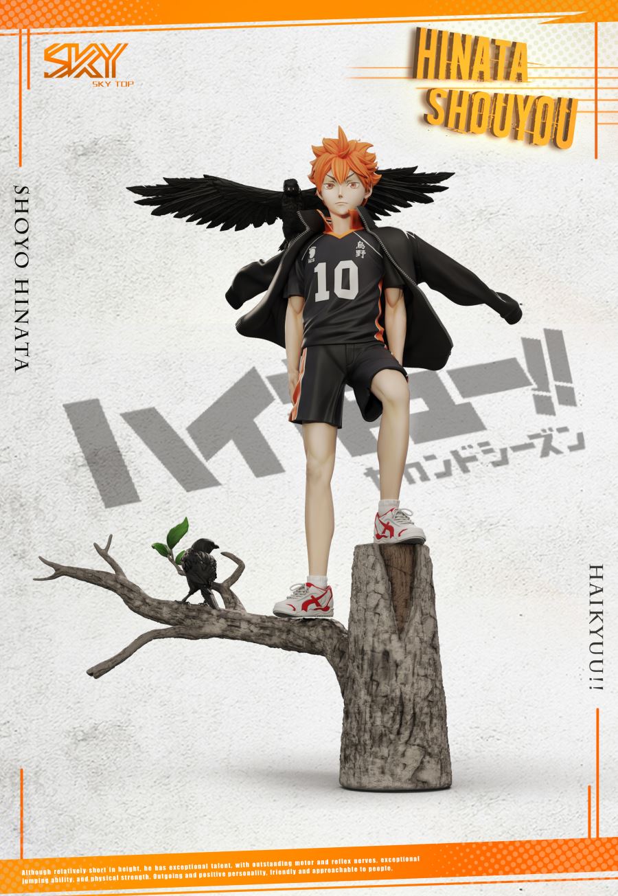 Shoyo Hinata - Haikyu!!