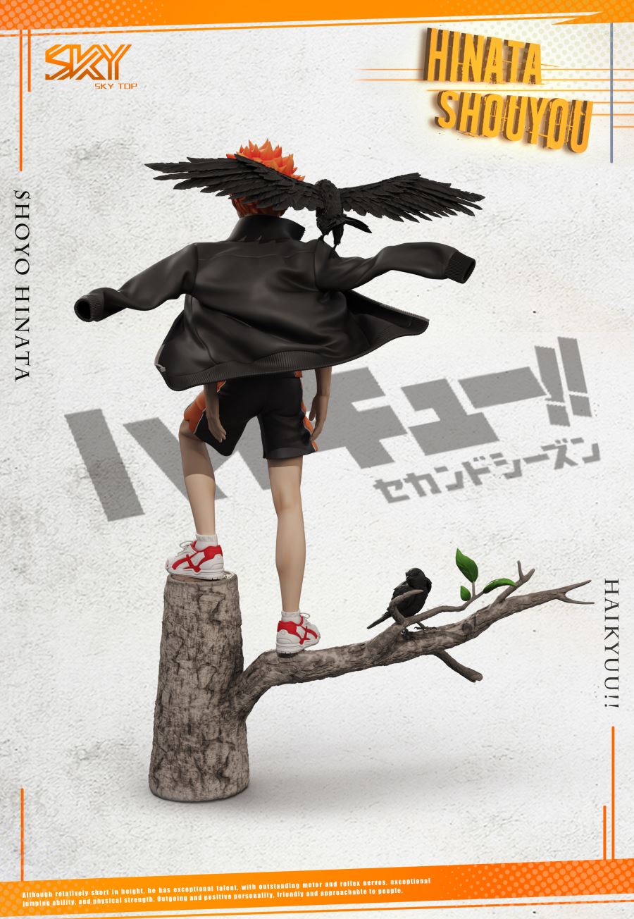 Shoyo Hinata - Haikyu!!
