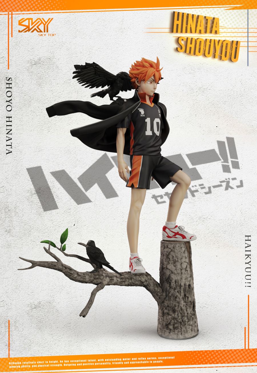 Shoyo Hinata - Haikyu!!