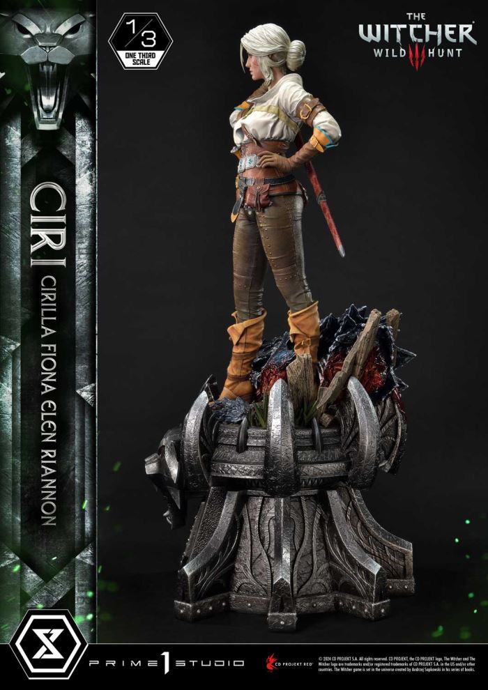 The Witcher 3: Wild Hunt Ciri Fiona Elen Riannon