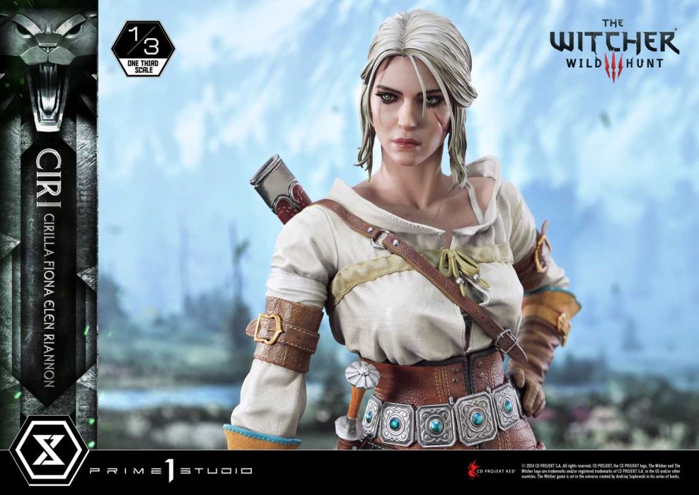 The Witcher 3: Wild Hunt Ciri Fiona Elen Riannon