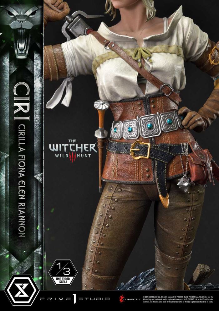 The Witcher 3: Wild Hunt Ciri Fiona Elen Riannon