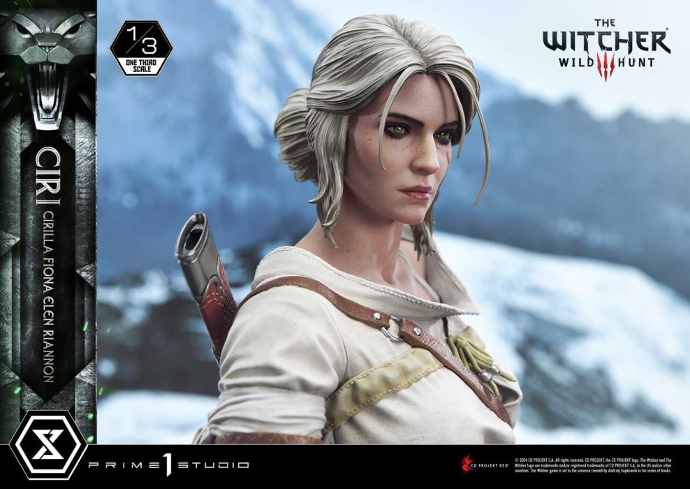 The Witcher 3: Wild Hunt Ciri Fiona Elen Riannon