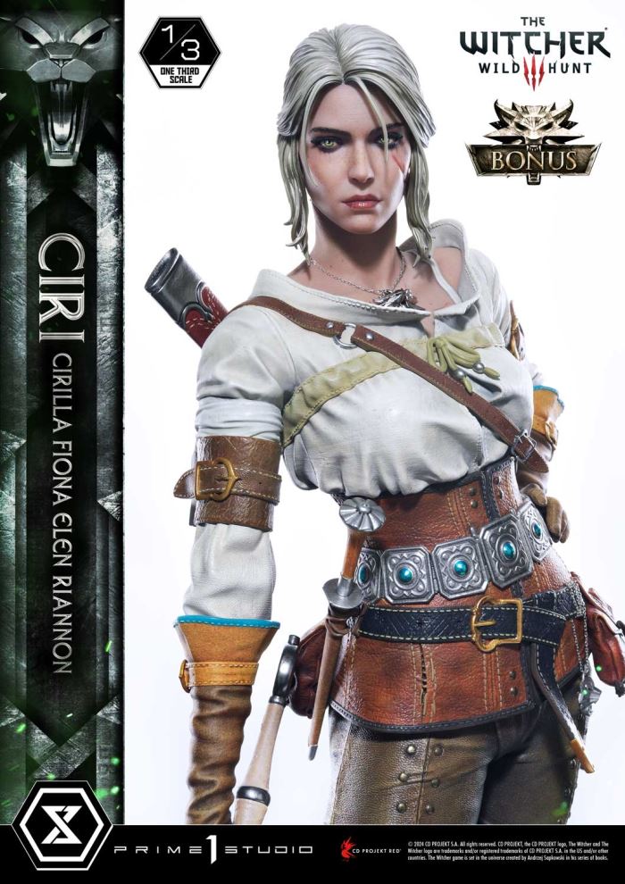 The Witcher 3: Wild Hunt Ciri Fiona Elen Riannon