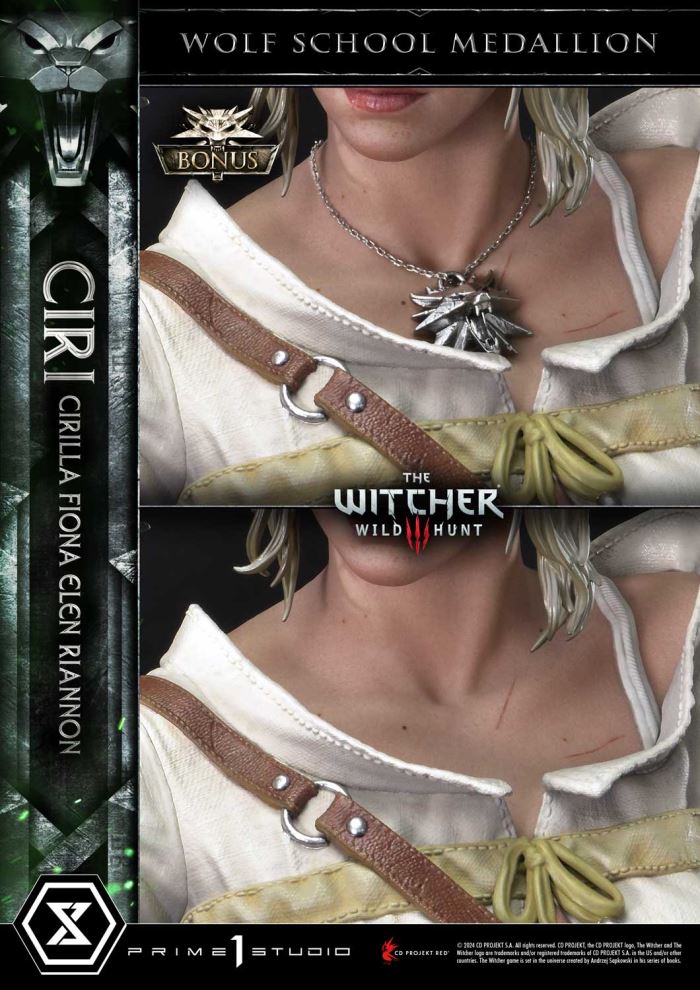 The Witcher 3: Wild Hunt Ciri Fiona Elen Riannon