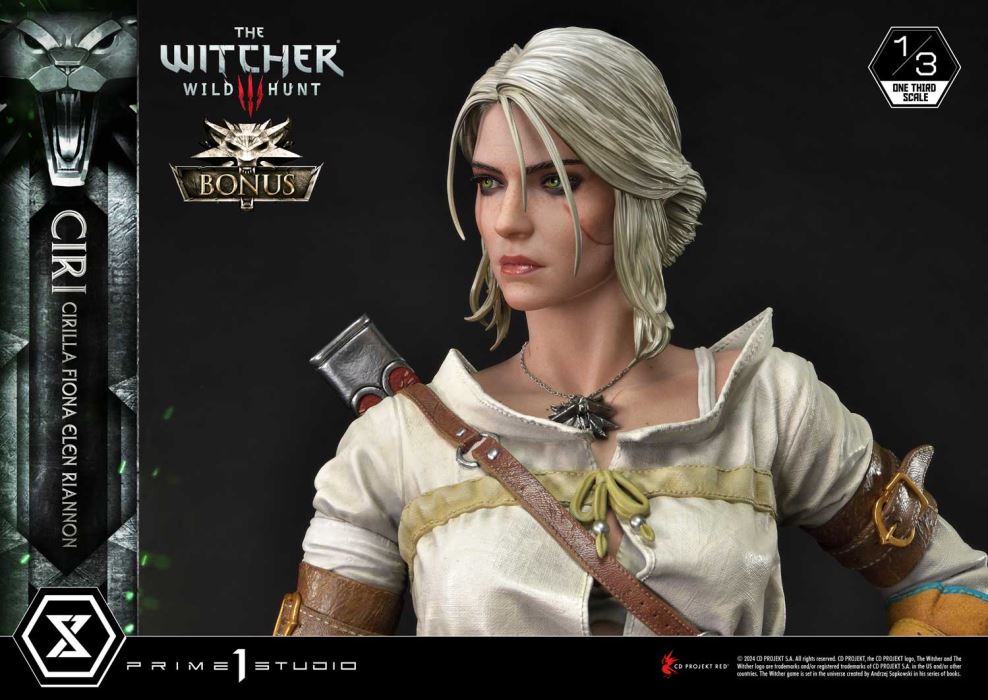 The Witcher 3: Wild Hunt Ciri Fiona Elen Riannon