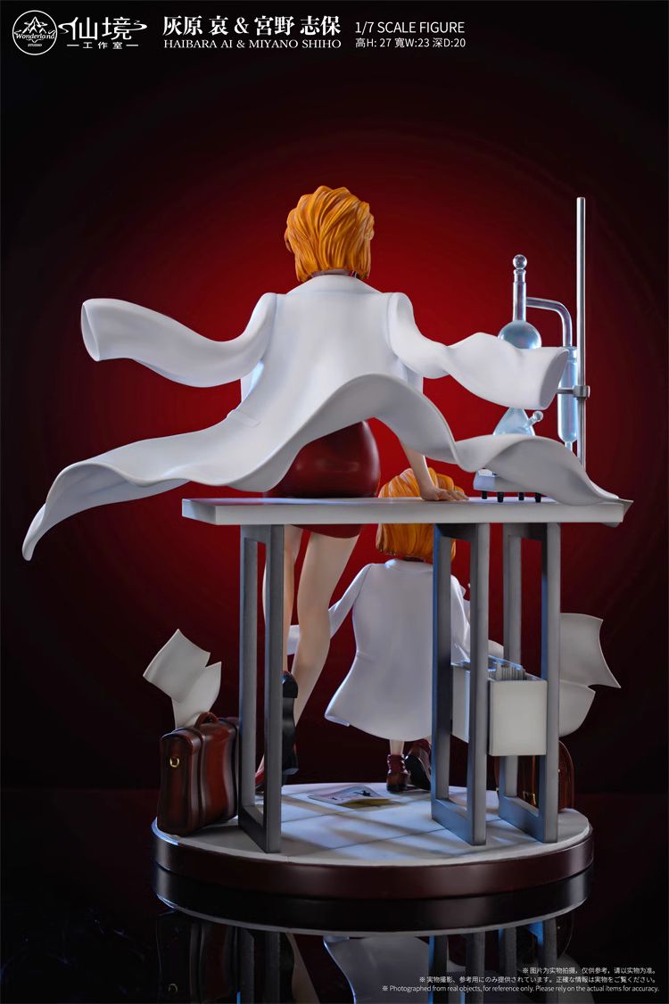 HAIBARA AI & MIYANO SHIHO - Detective Conan