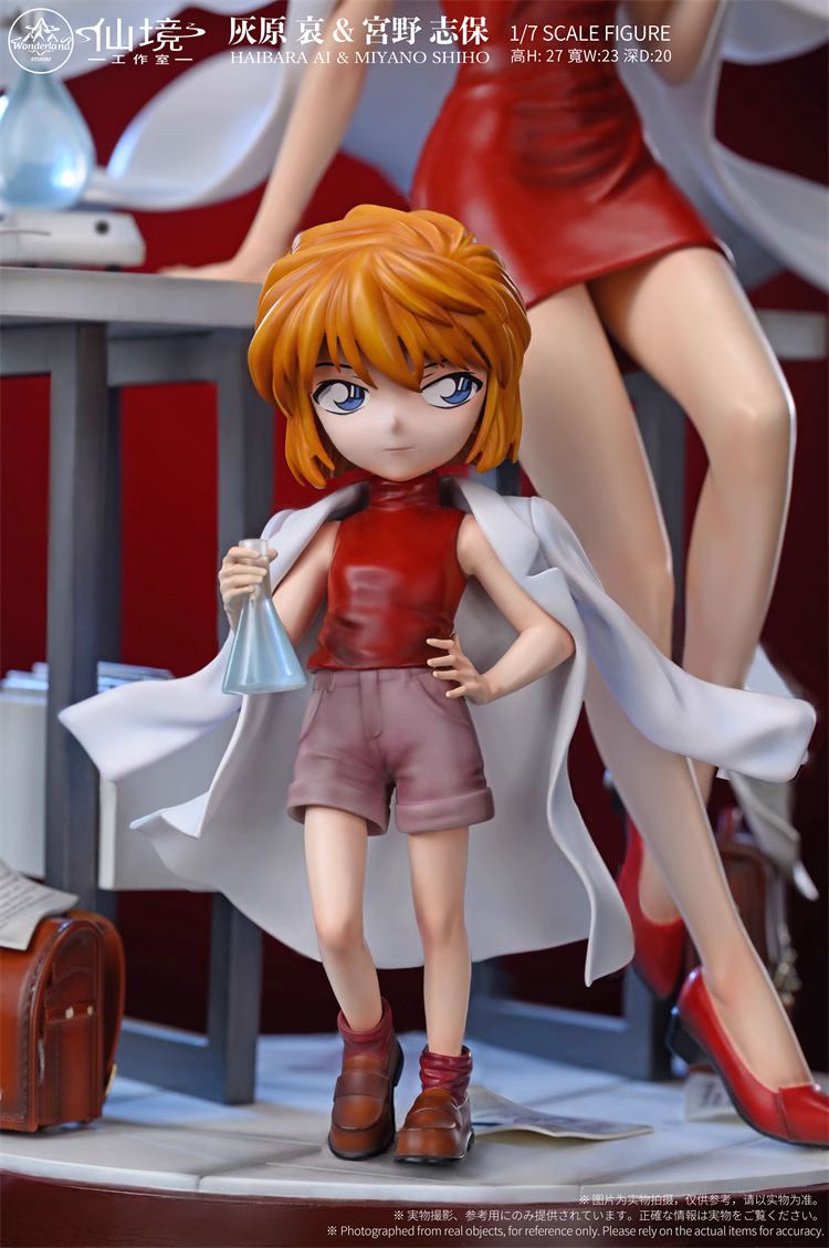 HAIBARA AI & MIYANO SHIHO - Detective Conan