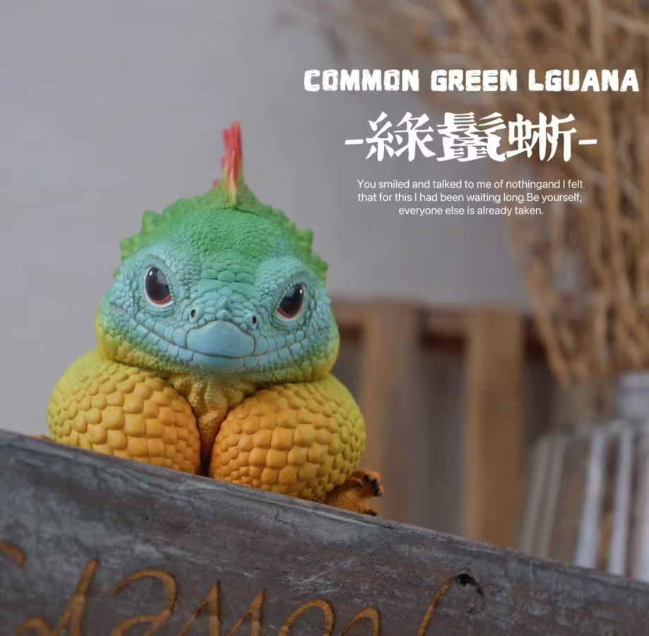 Green Iguana