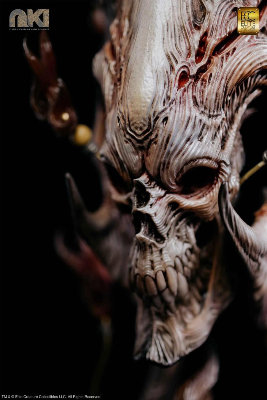 Fire Soul by Akihito