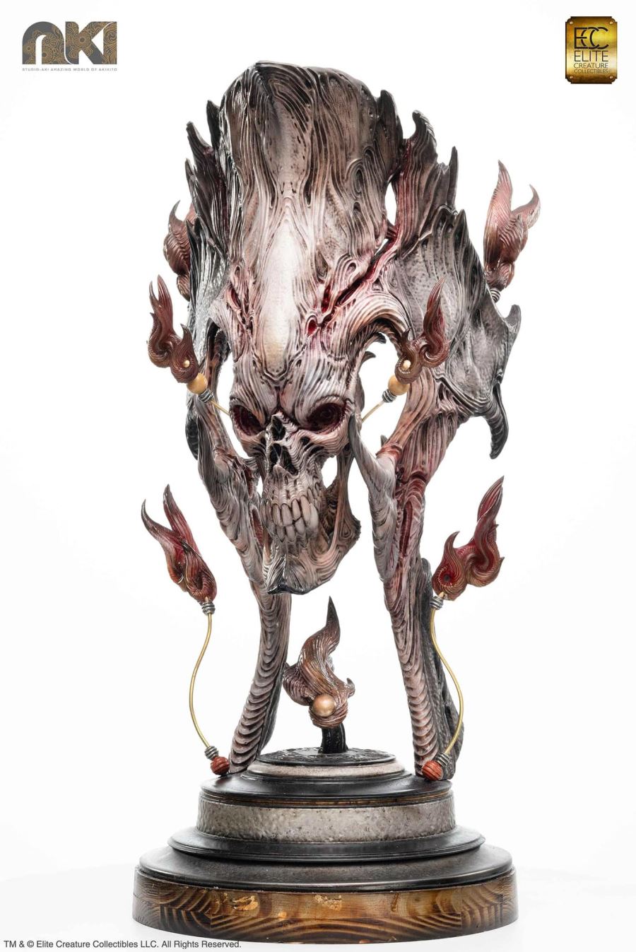 Fire Soul by Akihito