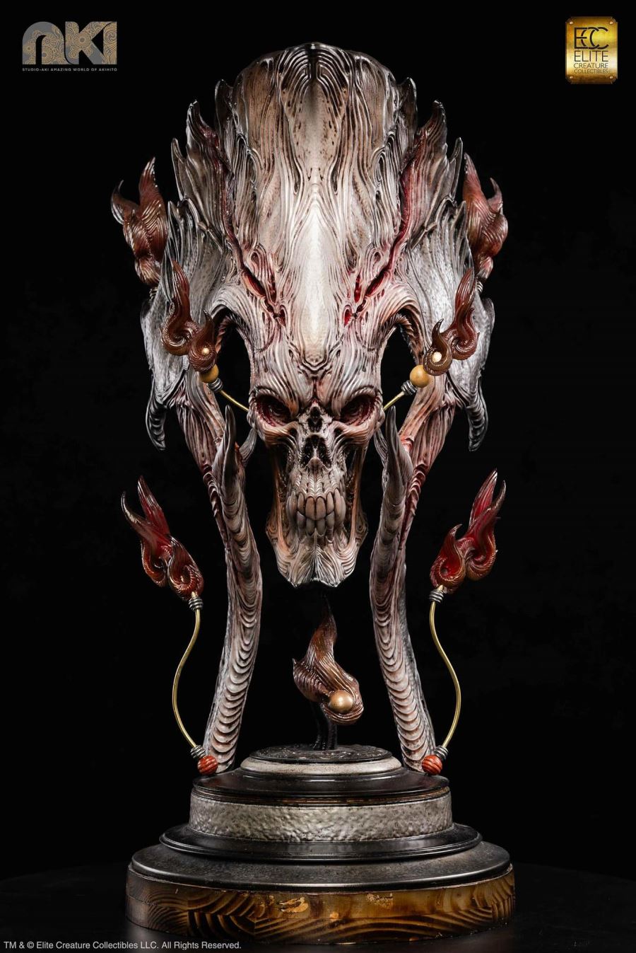 Fire Soul by Akihito