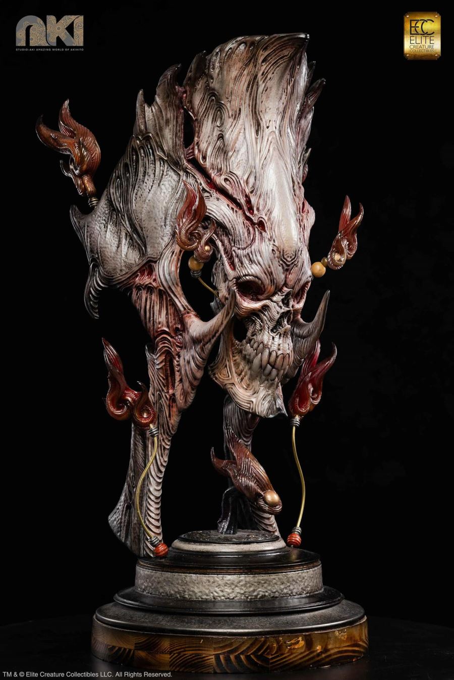 Fire Soul by Akihito