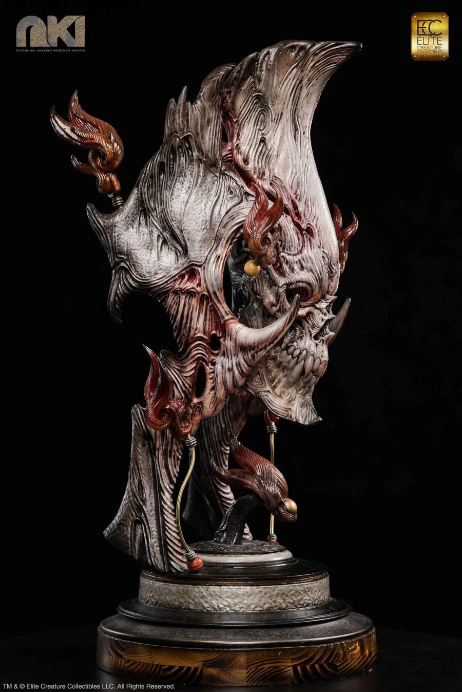 Fire Soul by Akihito